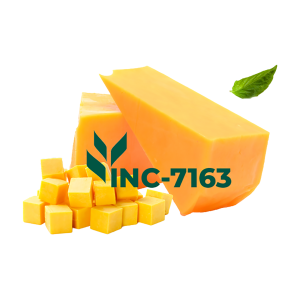 PLANT-BASED CHEDDAR-TYPE NATURAL FLAVOR INCLUSION