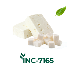 PLANT-BASED FETA-TYPE NATURAL FLAVOR INCLUSION