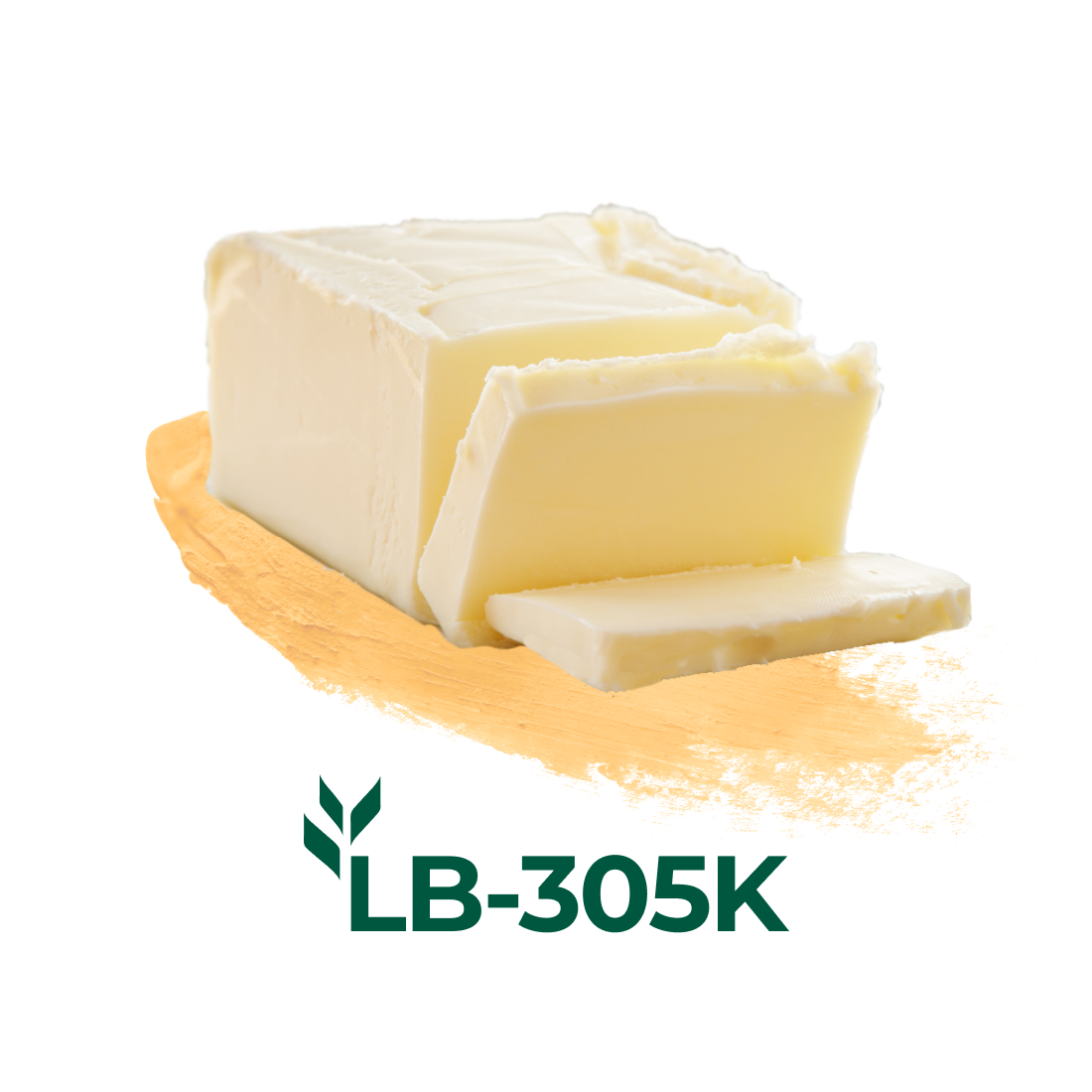 LB 305K
